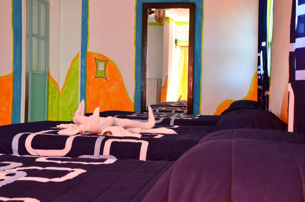 פלאייה דל כרמן Adventure Experience Hotel מראה חיצוני תמונה